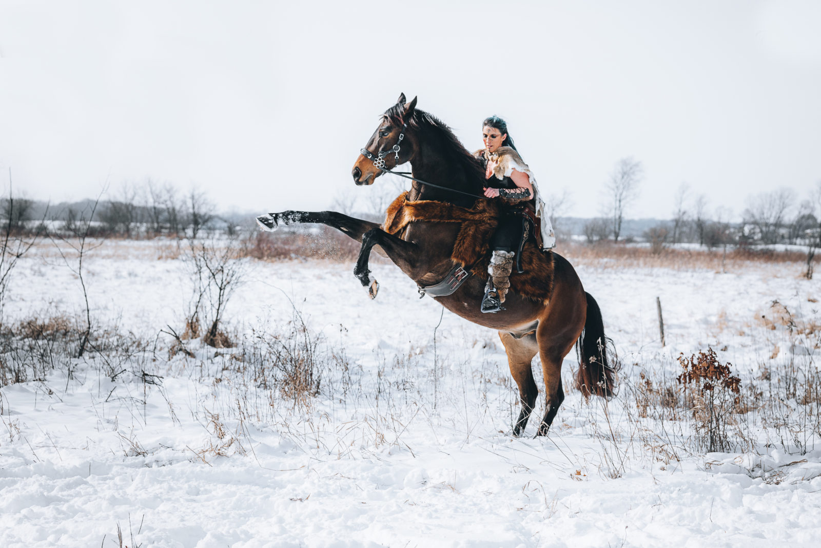 Viking horse and rider snow day session