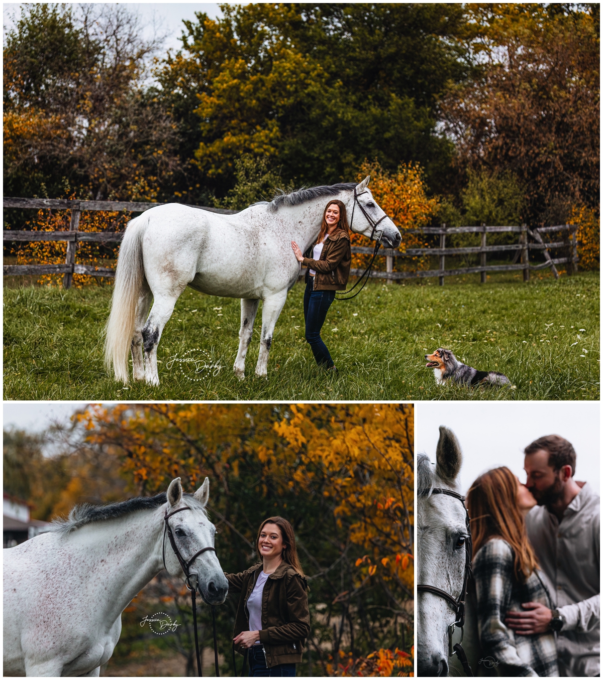 Horse + Rider Family Portraits at Red Coat Farm in Hawthorn Woods, IL